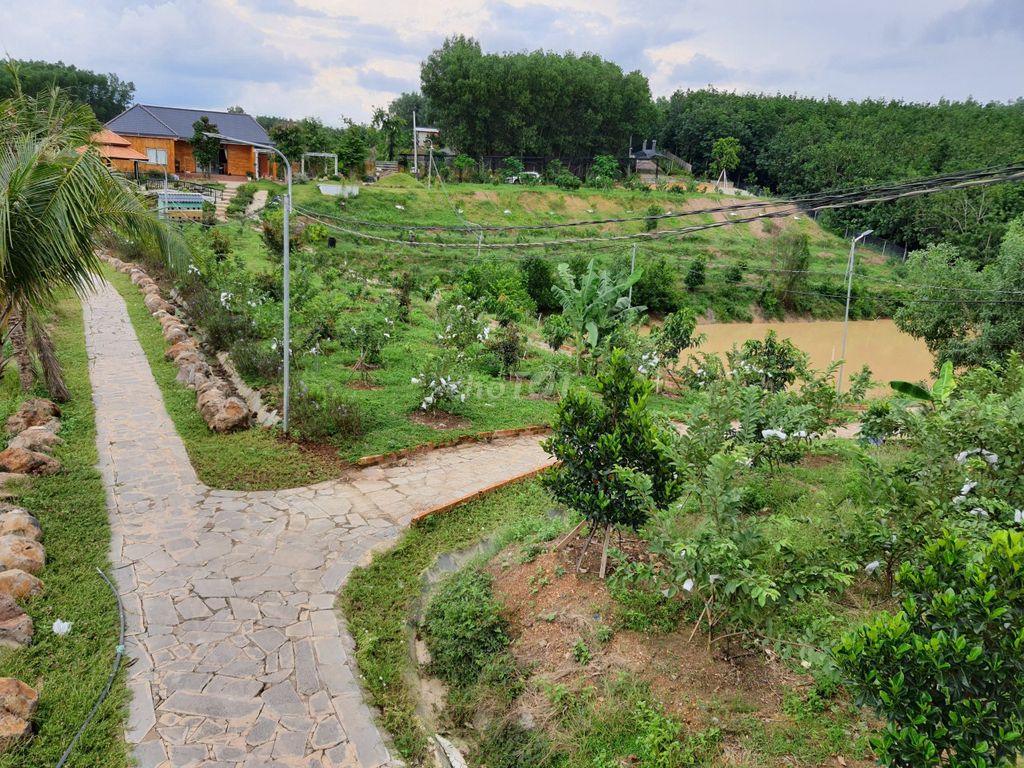 mua đất Vĩnh Cửu giá rẻ - 2