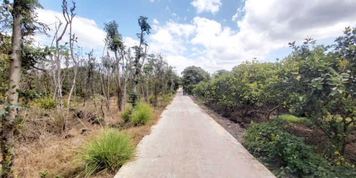 Gợi ý bán đất Tân Triều, Vĩnh Cửu, Đồng Nai