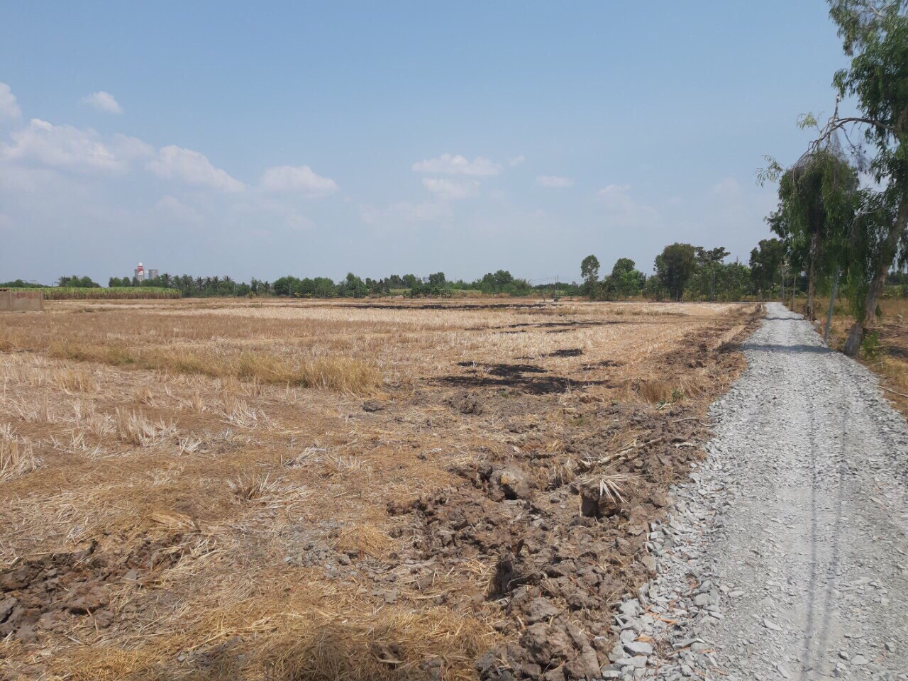 đất nông nghiệp xã Phú Hữu - 2