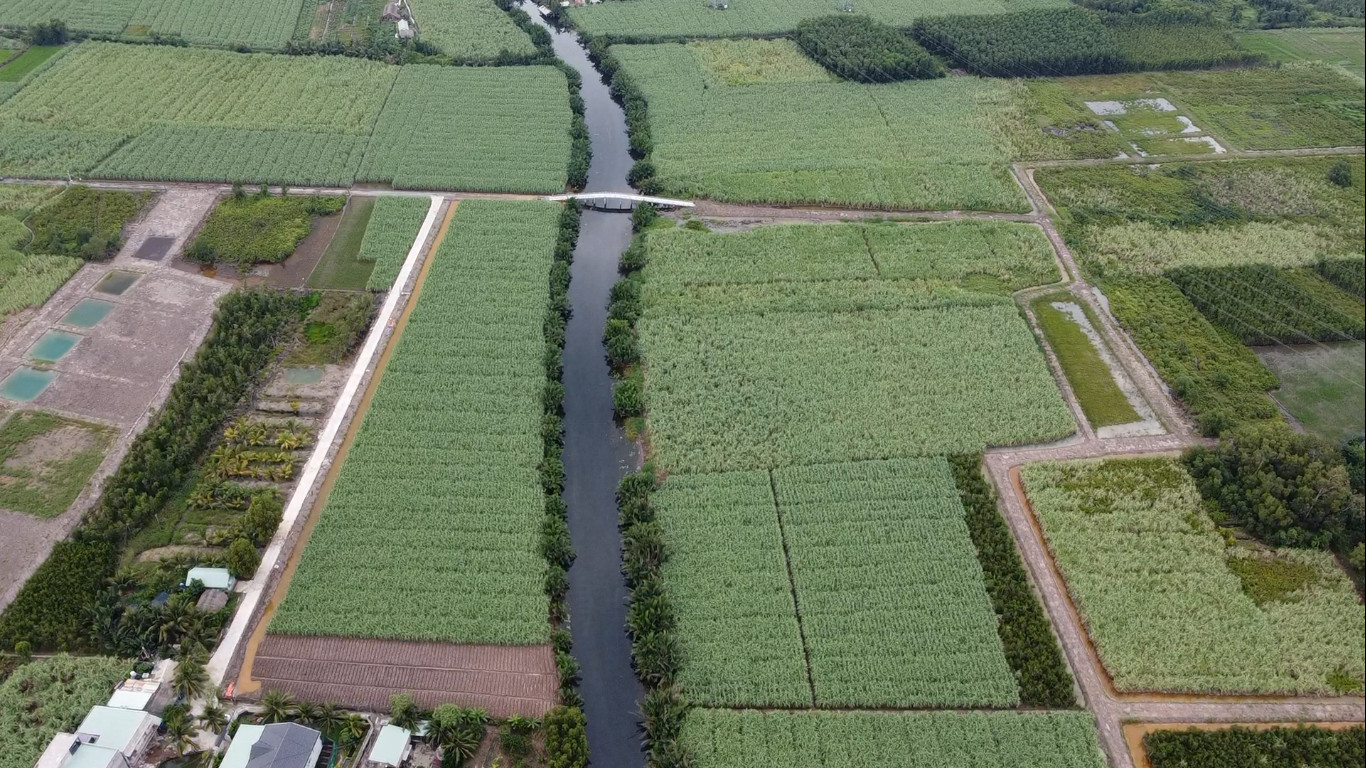 đất nông nghiệp xã Phú Hữu - 4