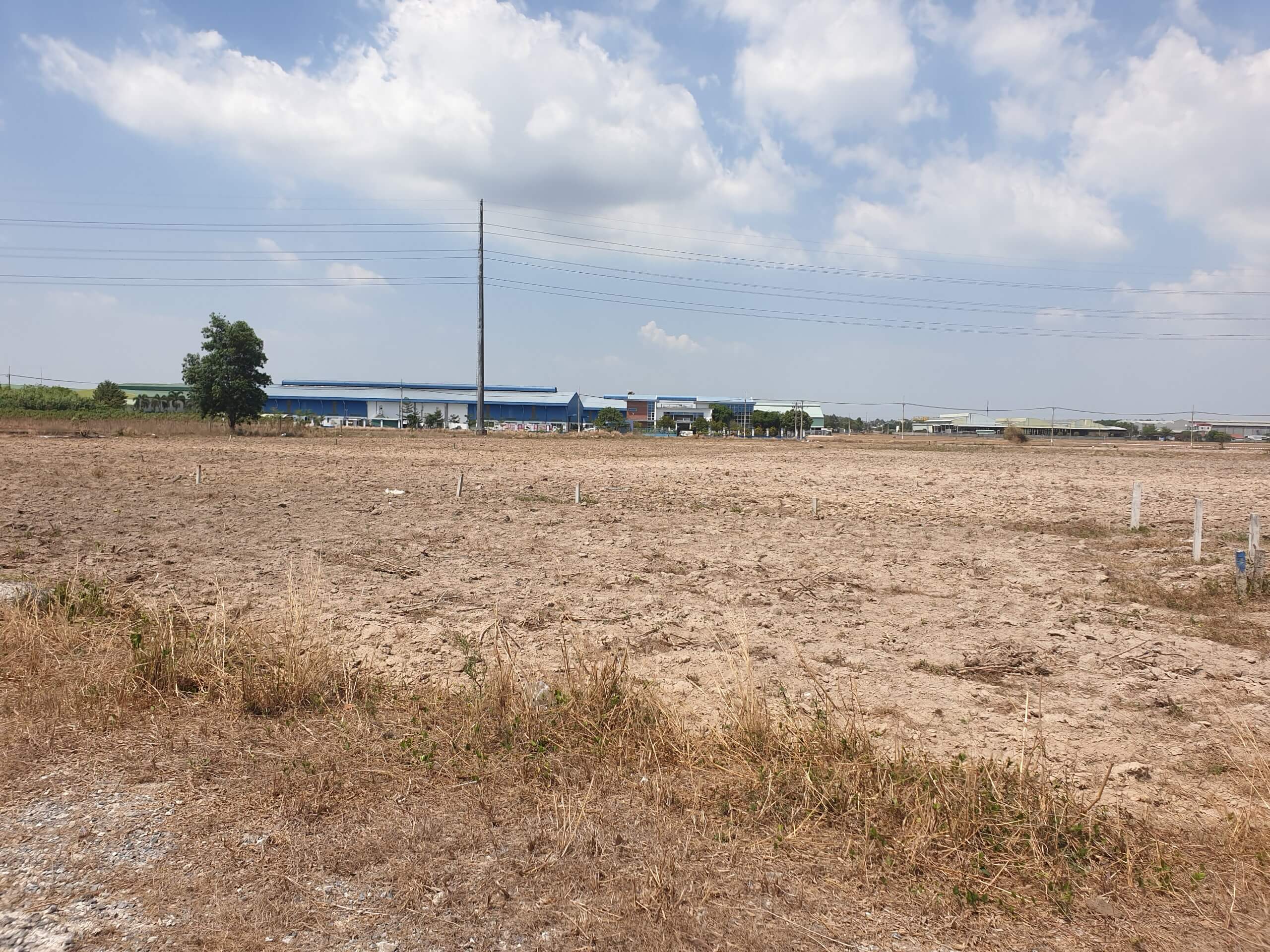 Bán đất Vĩnh Thanh, Nhơn Trạch - 4