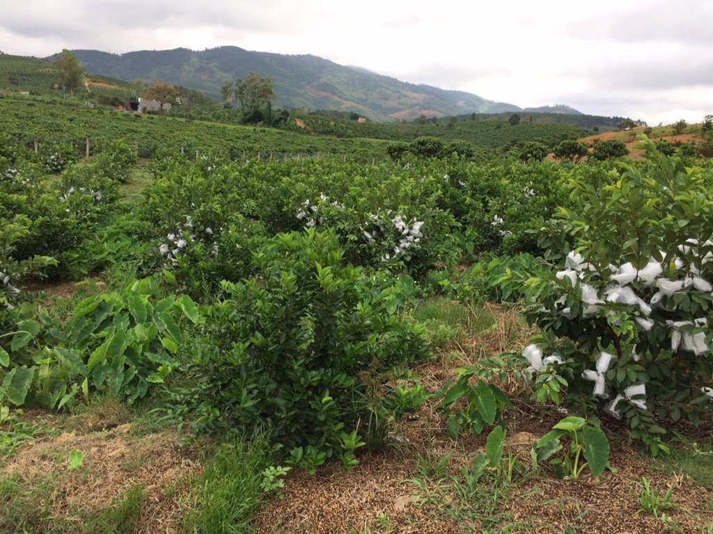 Giá đất xã Vĩnh Thanh, Nhơn Trạch - 3