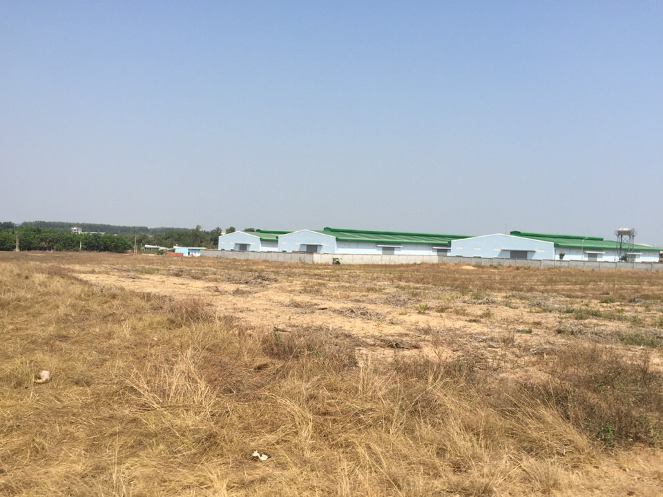 Giá đất xã Vĩnh Thanh, Nhơn Trạch - 5