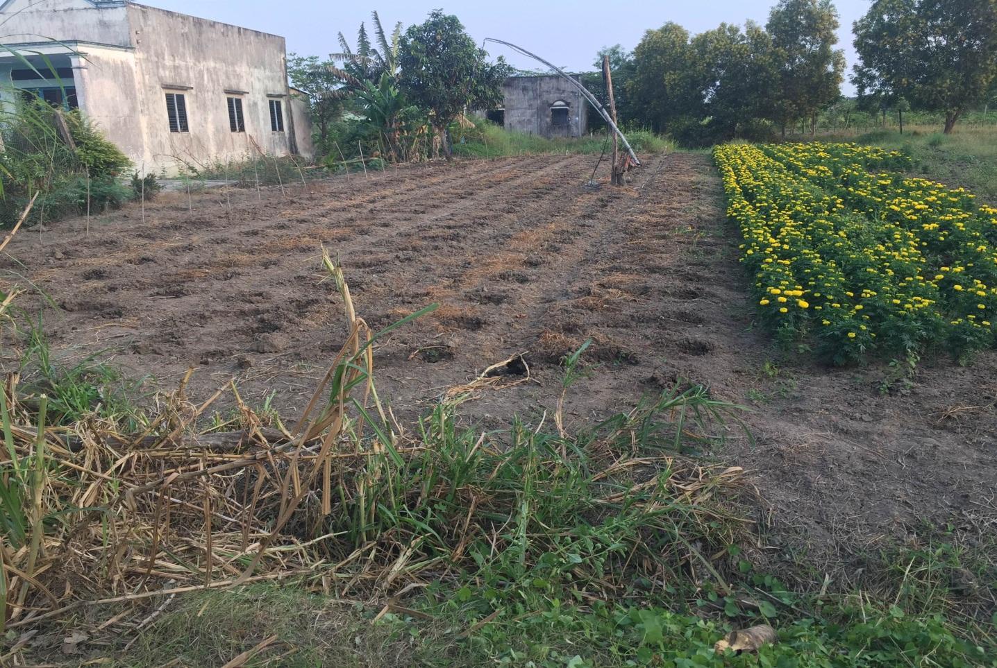 bán đất vườn xã Phú Đông, Nhơn Trạch - 2