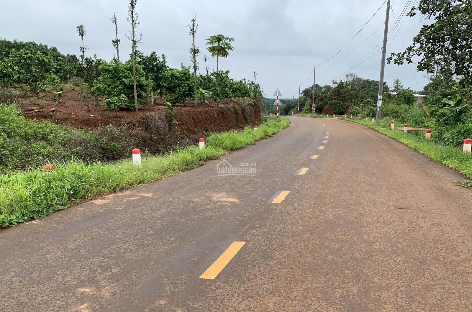 bán đất Cẩm Mỹ, Đồng Nai 3