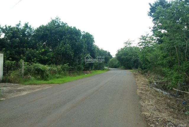 đất Suối Tre - Bình Lộc - 1