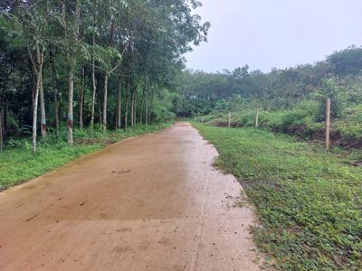 đất Suối Tre - Bình Lộc - 3