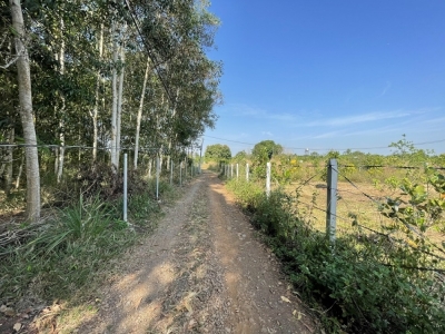 đất Suối Tre - Bình Lộc - 2