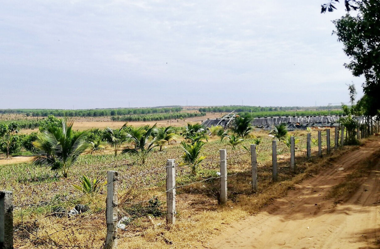 Bán đất vườn xã Đại Phước, Nhơn Trạch - 3