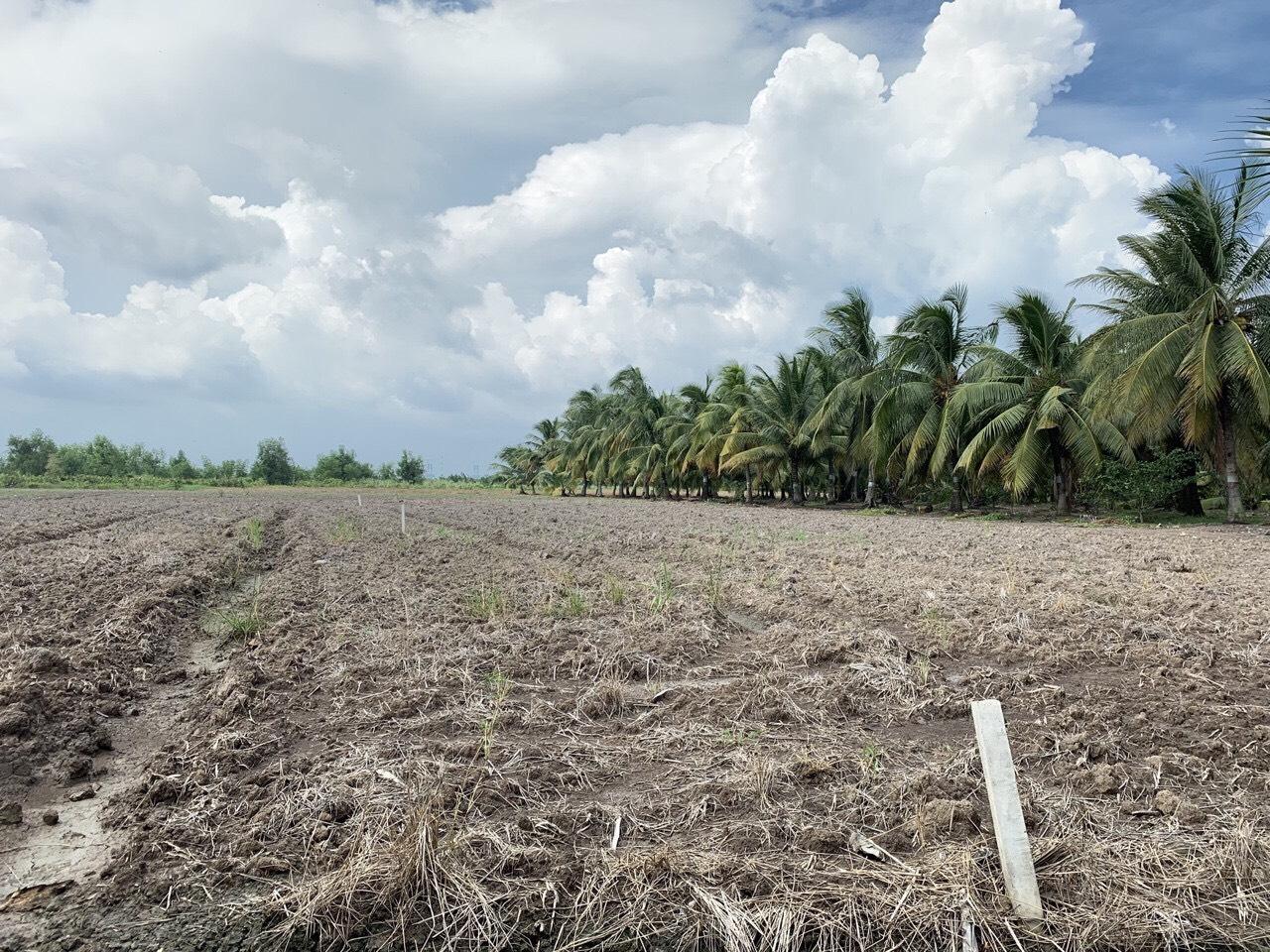 Giá đất xã Đại Phước, Nhơn Trạch - 2