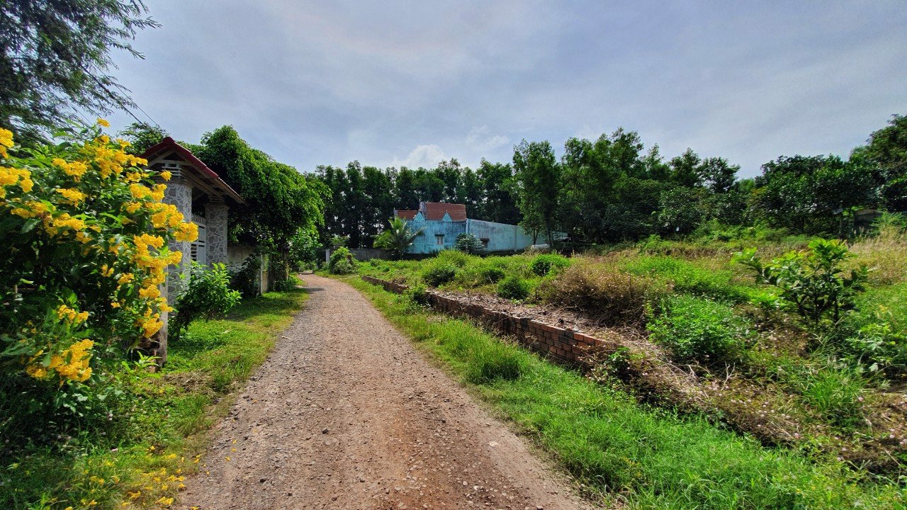 bán đất Phước An, Nhơn Trạch - 4