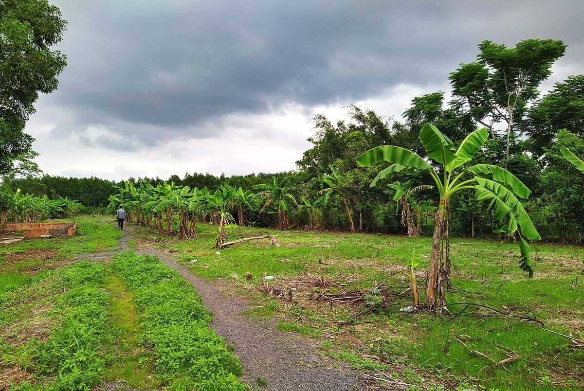 bán đất rẫy Bảo Bình, Cẩm Mỹ, Đồng Nai 1