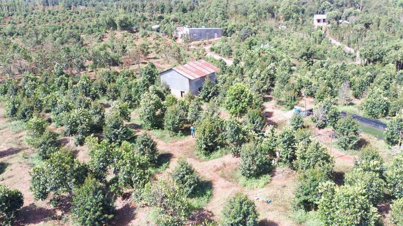 bán đất rẫy Bảo Bình, Cẩm Mỹ, Đồng Nai 2