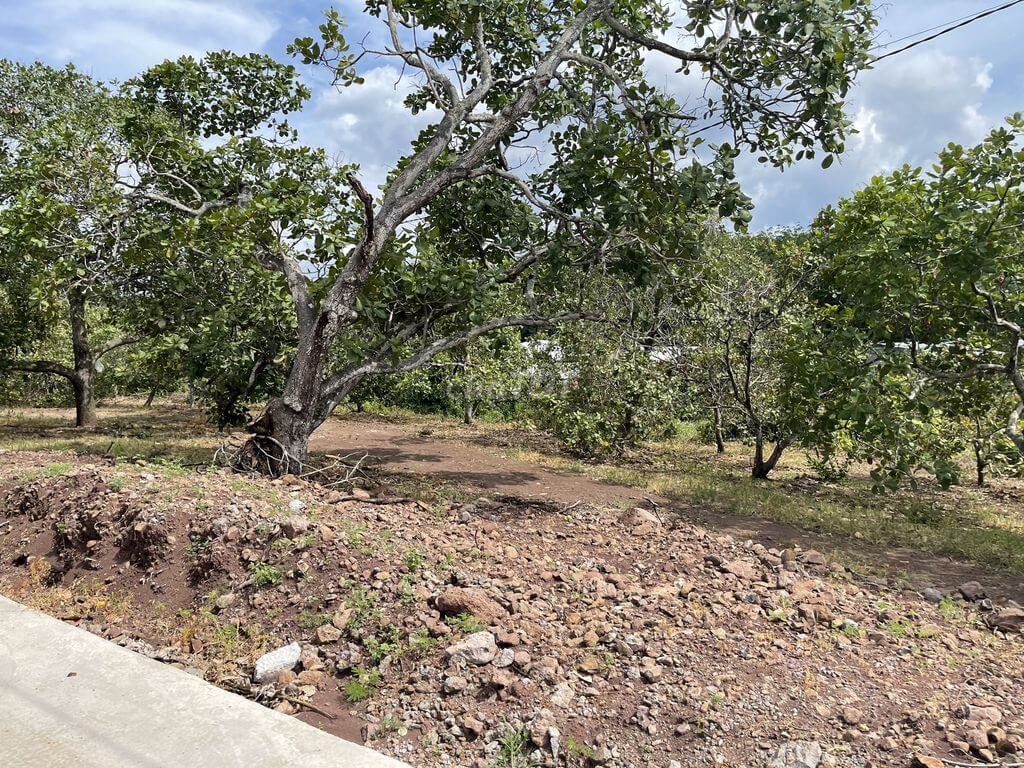 bán đất xã Nhân Nghĩa, huyện Cẩm Mỹ 2