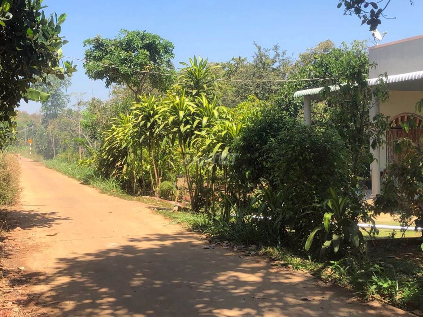 bán đất xã Xuân Bảo, huyện Cẩm Mỹ 2