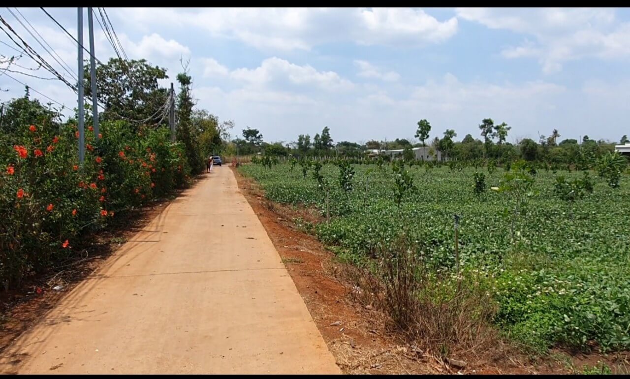 đất sào Cẩm Mỹ 2