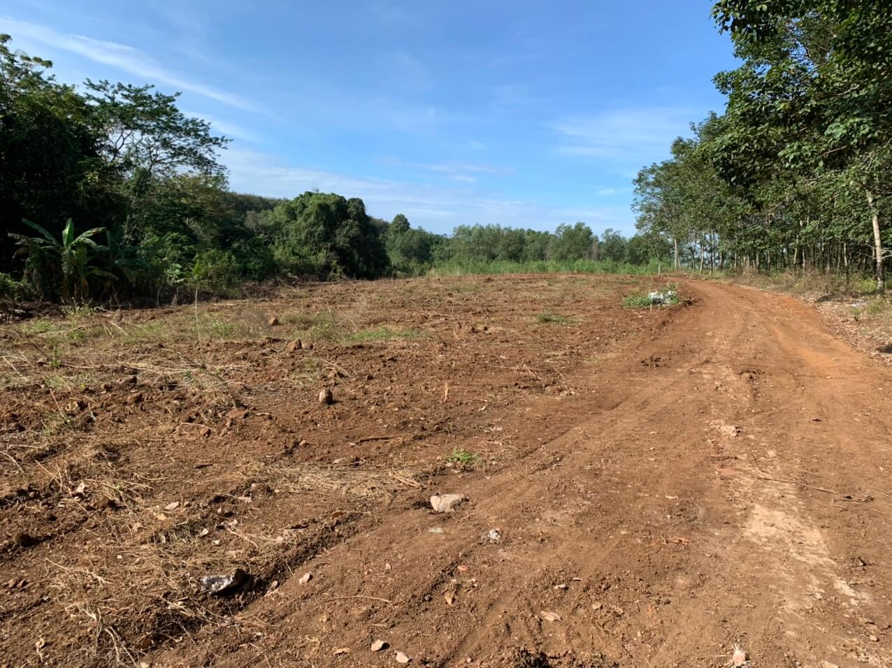 đất sào Cẩm Mỹ 3