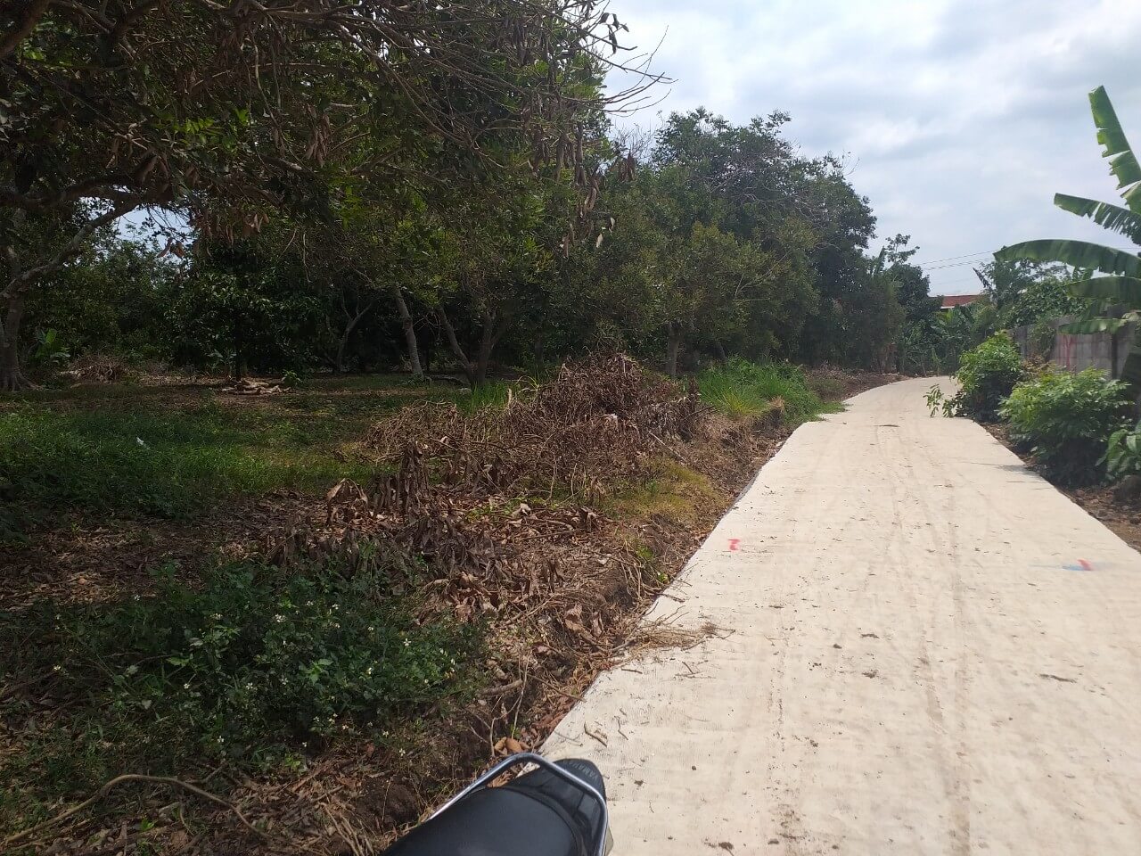 đất sào Cẩm Mỹ 4