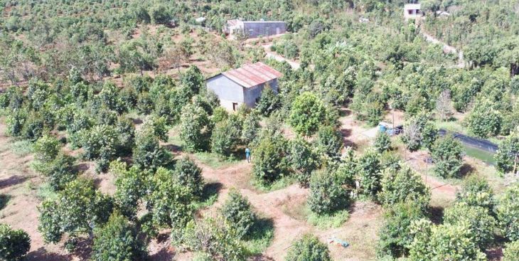 Bán đất rẫy Bảo Bình, Cẩm Mỹ, Đồng Nai giá dưới 2 tỷ