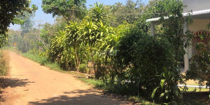 Top 7 tin bán đất xã Xuân Bảo, huyện Cẩm Mỹ (dưới 1,5 tỷ)