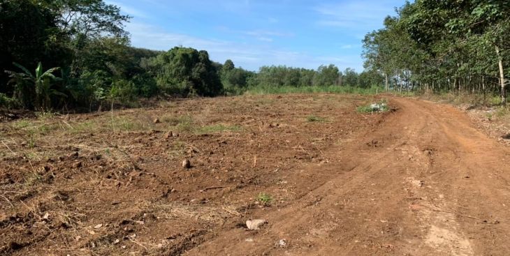 Đất sào Cẩm Mỹ, Đồng Nai: 03 lưu ý đầu tư cần biết