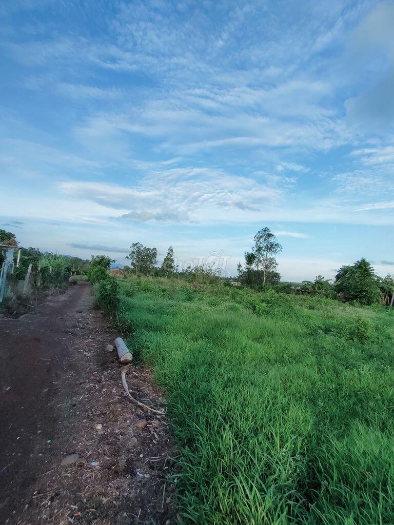 xã Sông Ray, huyện Cẩm Mỹ, tỉnh Đồng Nai 2