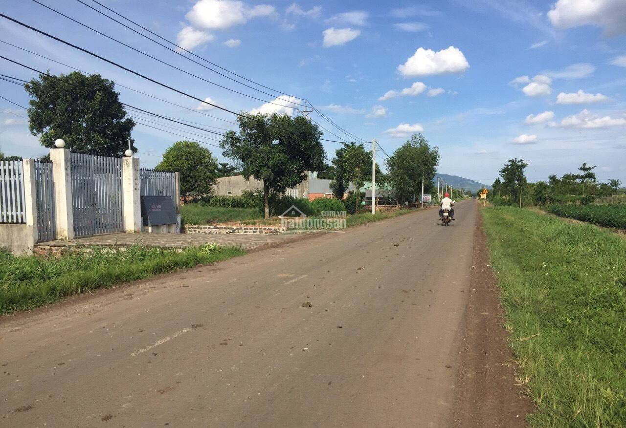 đất xã Xuân Đông, huyện Cẩm Mỹ, tỉnh Đồng Nai 1