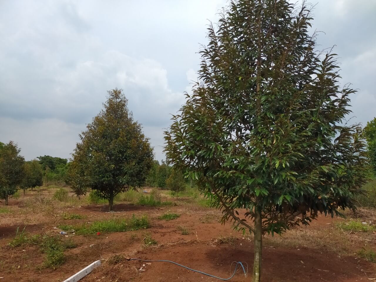 xã Xuân Tây, huyện Cẩm Mỹ, tỉnh Đồng Nai 3