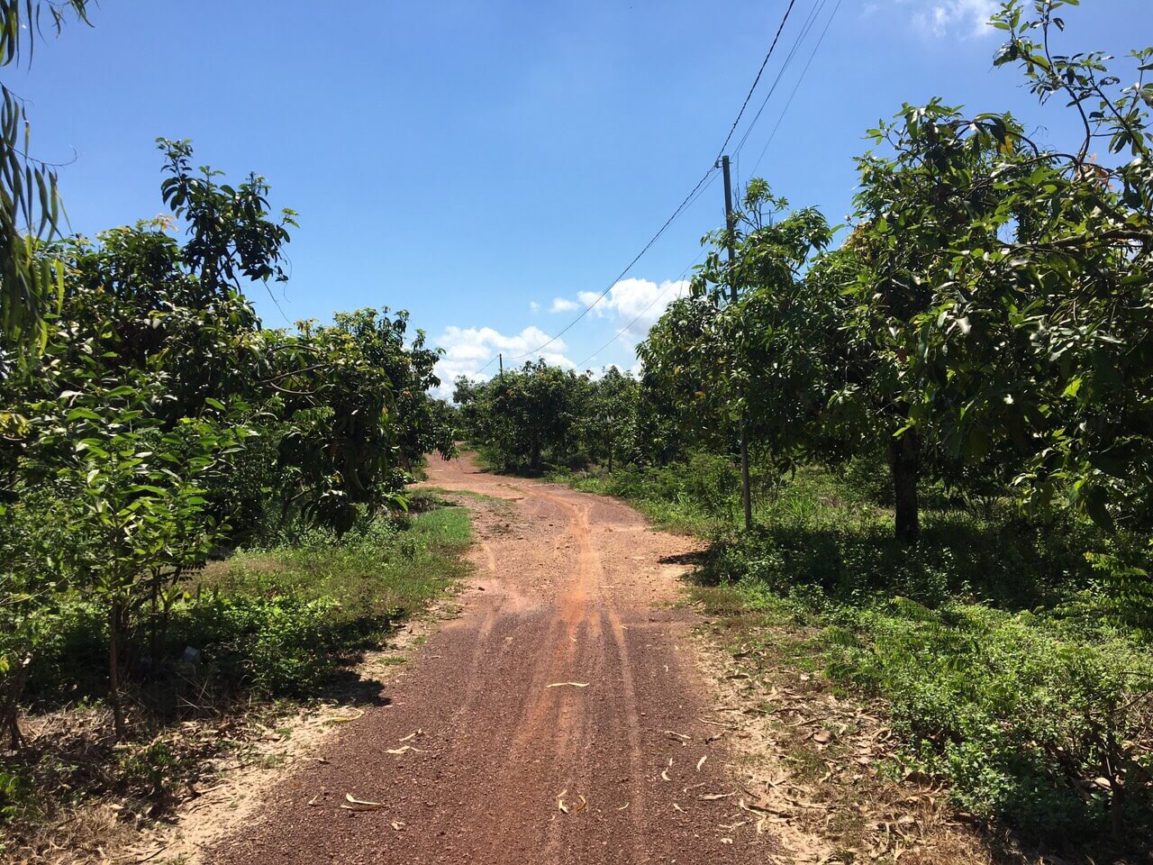 Bán đất rẫy Định Quán, Đồng Nai 1