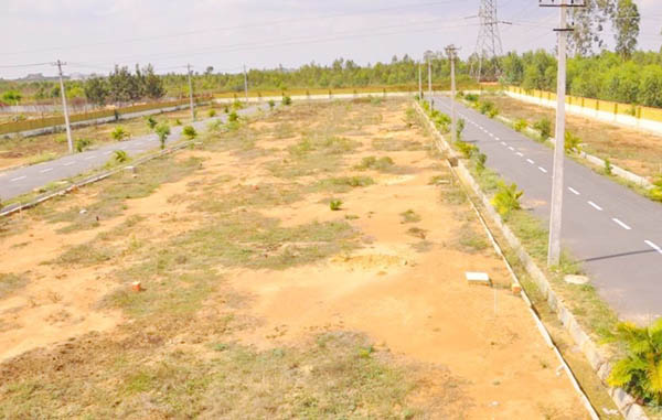 Đất nền Đồng Nai - 2