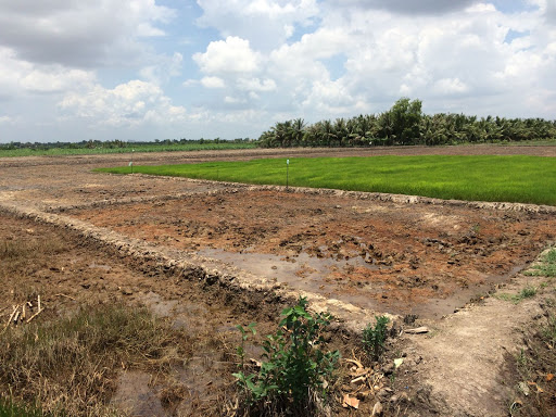 Đất nông nghiệp Đồng Nai - 1