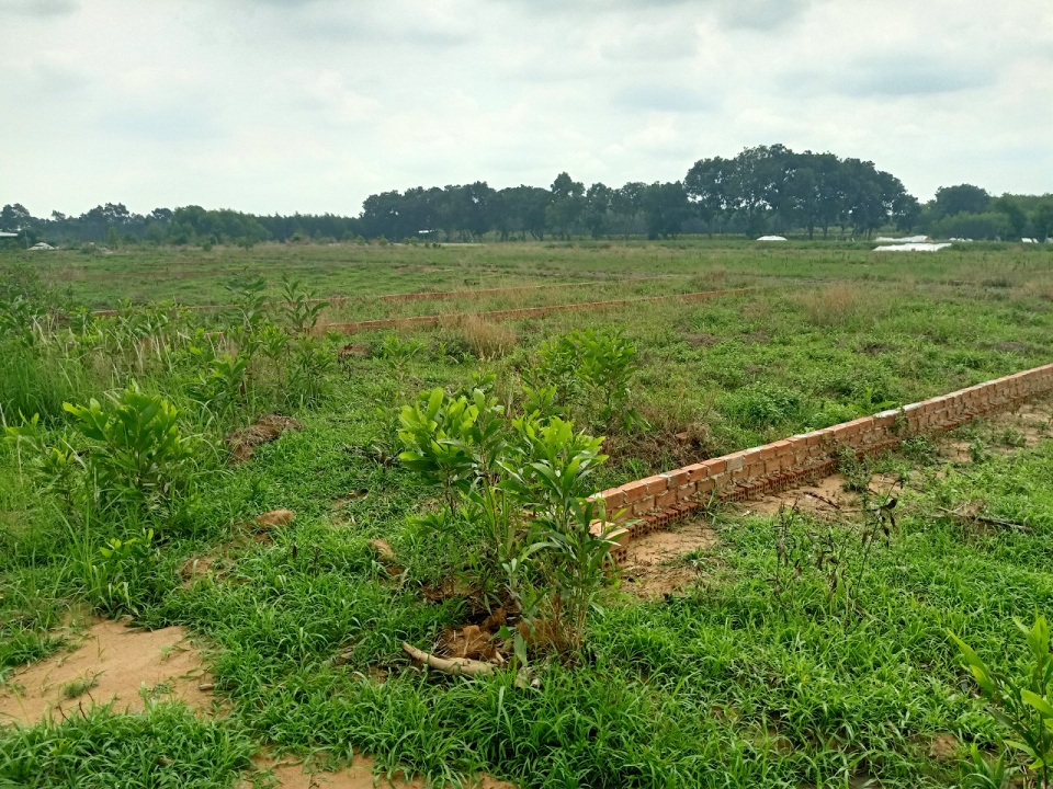 Đất nông nghiệp Đồng Nai - 4