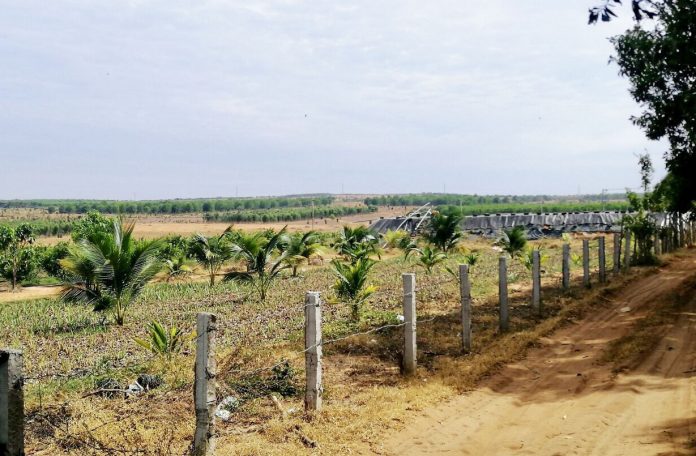 Đất nông nghiệp Đồng Nai giá rẻ - 1