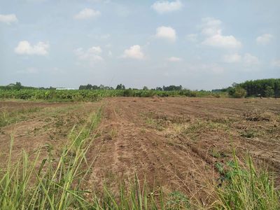 Đất nông nghiệp Đồng Nai giá rẻ - 4