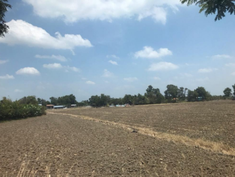 Đất nông nghiệp Đồng Nai giá rẻ - 3