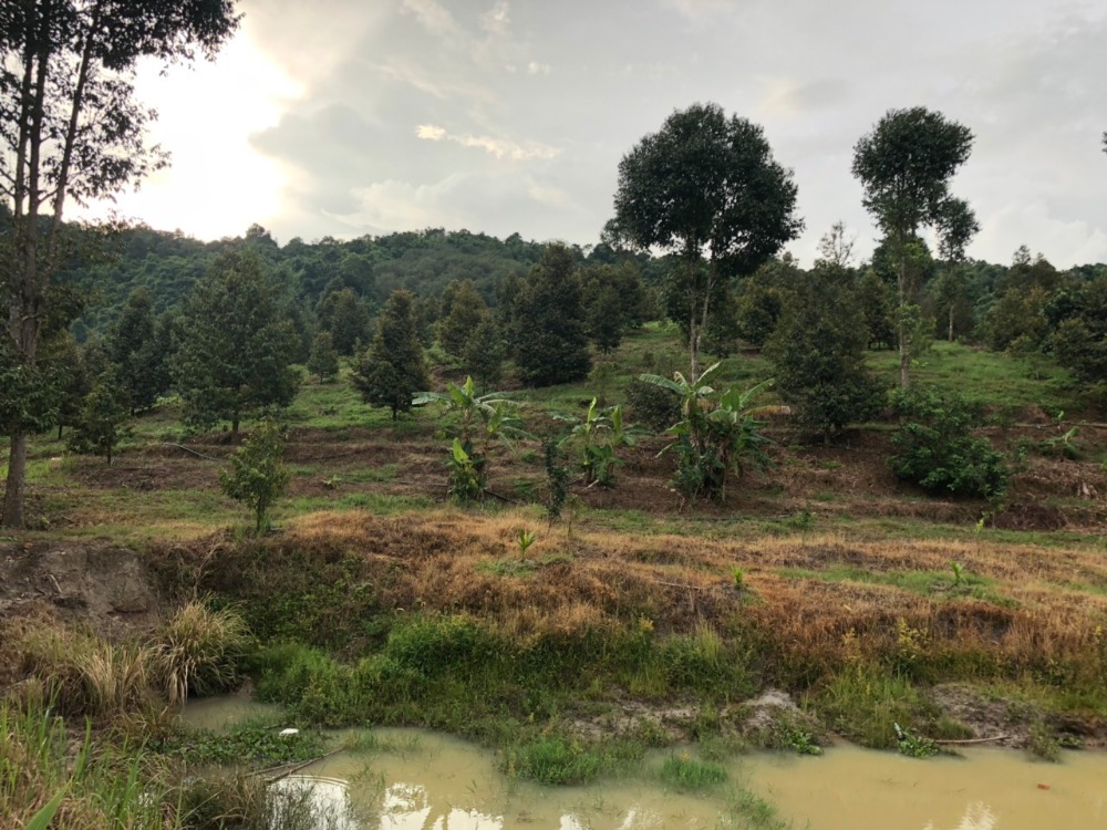 Đất rẫy Đồng Nai