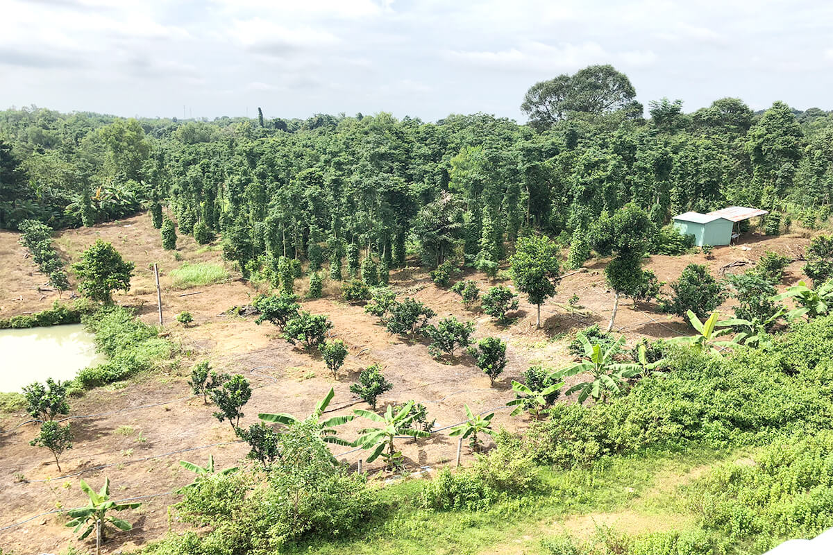 Mua bán đất nông nghiệp huyện Định Quán, tỉnh Đồng Nai 3