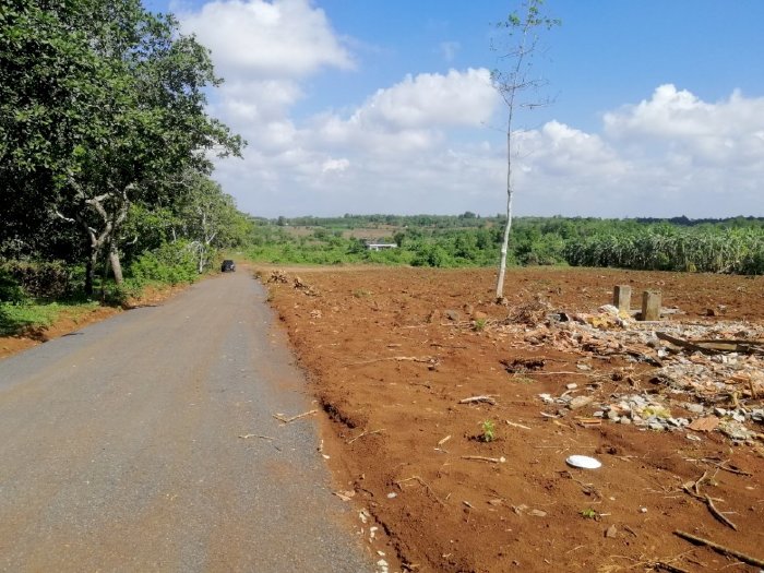 Bán đất sào Đồng Nai - 3