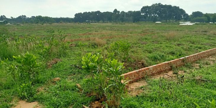 Đất nông nghiệp Đồng Nai có nên đầu tư không?