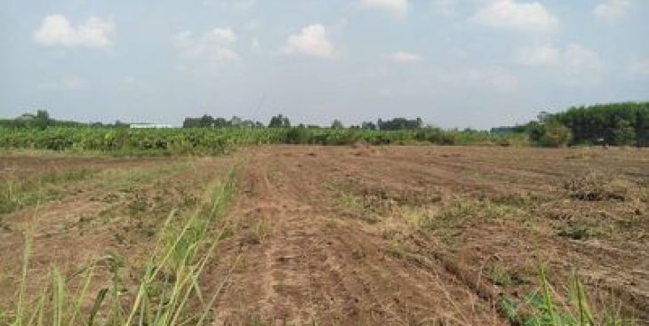 Điểm mặt những khu vực đất nông nghiệp Đồng Nai giá rẻ