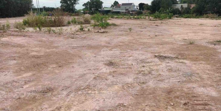 Mua bán đất sào Đồng Nai giá rẻ, khả năng sinh lời cao