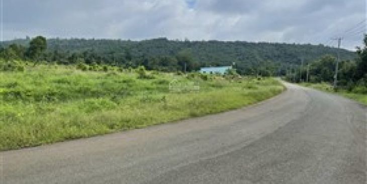 Nhà đất huyện Định Quán, xã Phú Lợi: đánh giá và gợi ý đầu tư