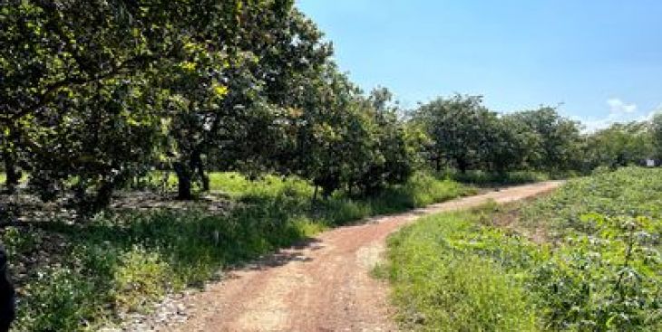 10 gợi ý bán đất xã Phú Ngọc, huyện Định Quán, Đồng Nai (mới nhất)