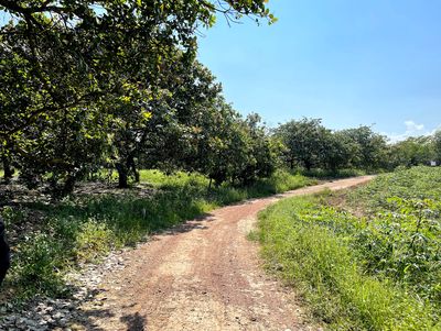 Xã Phú Ngọc, Định Quán - 2