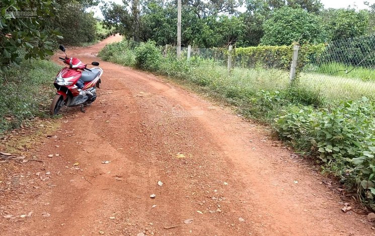 Xã Phú Ngọc, Định Quán - 3