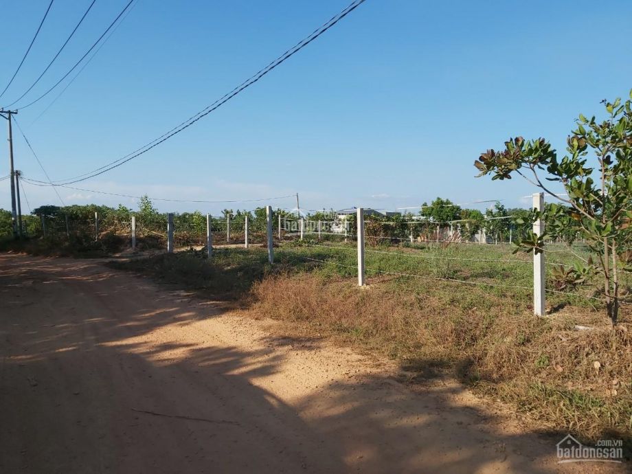 Xã Phú Ngọc, Định Quán - 1