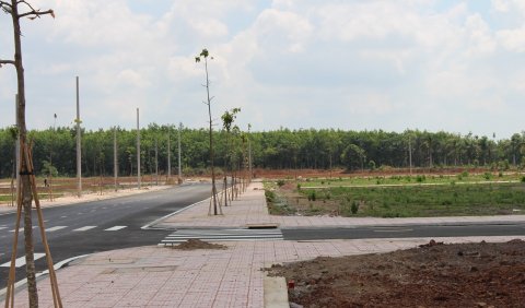 Tiềm năng lớn trong tương lai