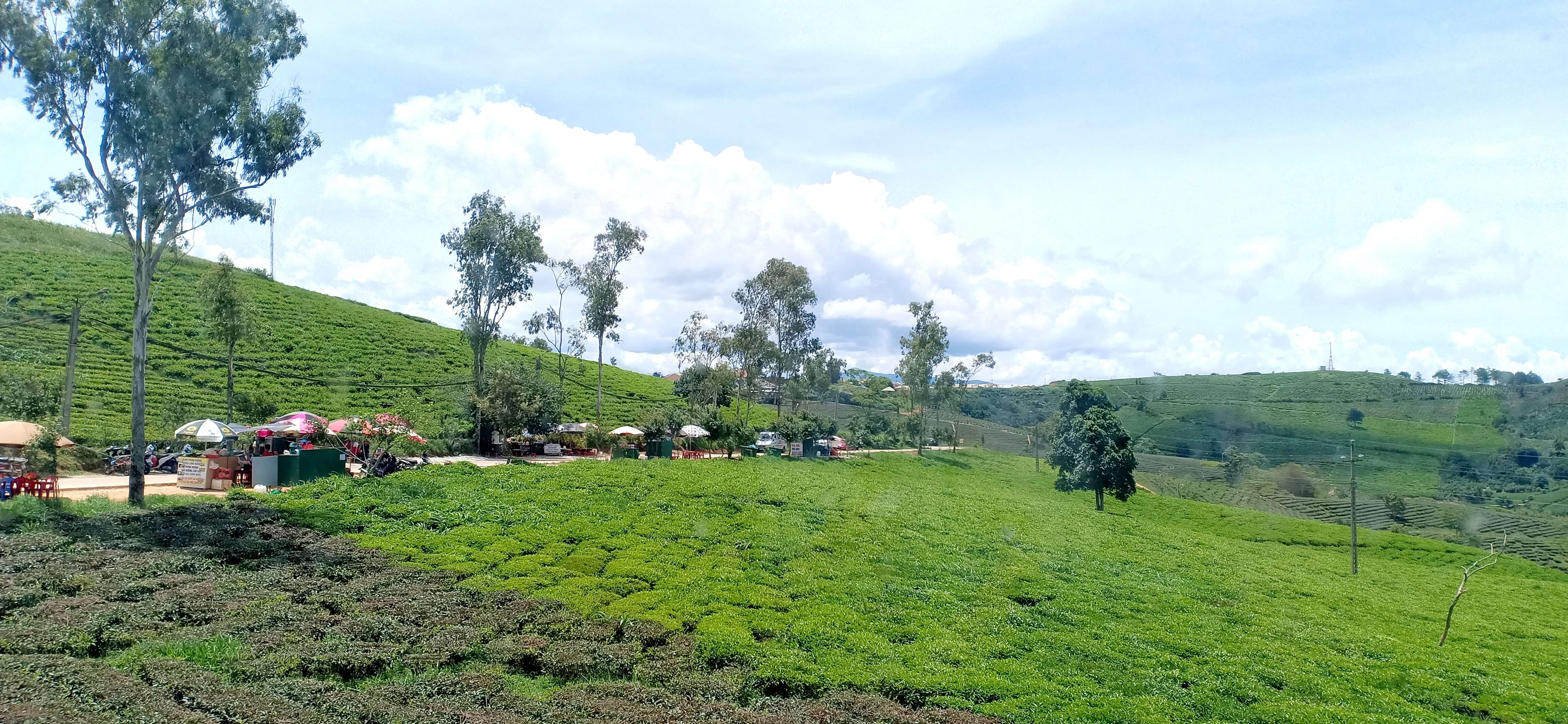 mua đất nông nghiệp Madagui - 3