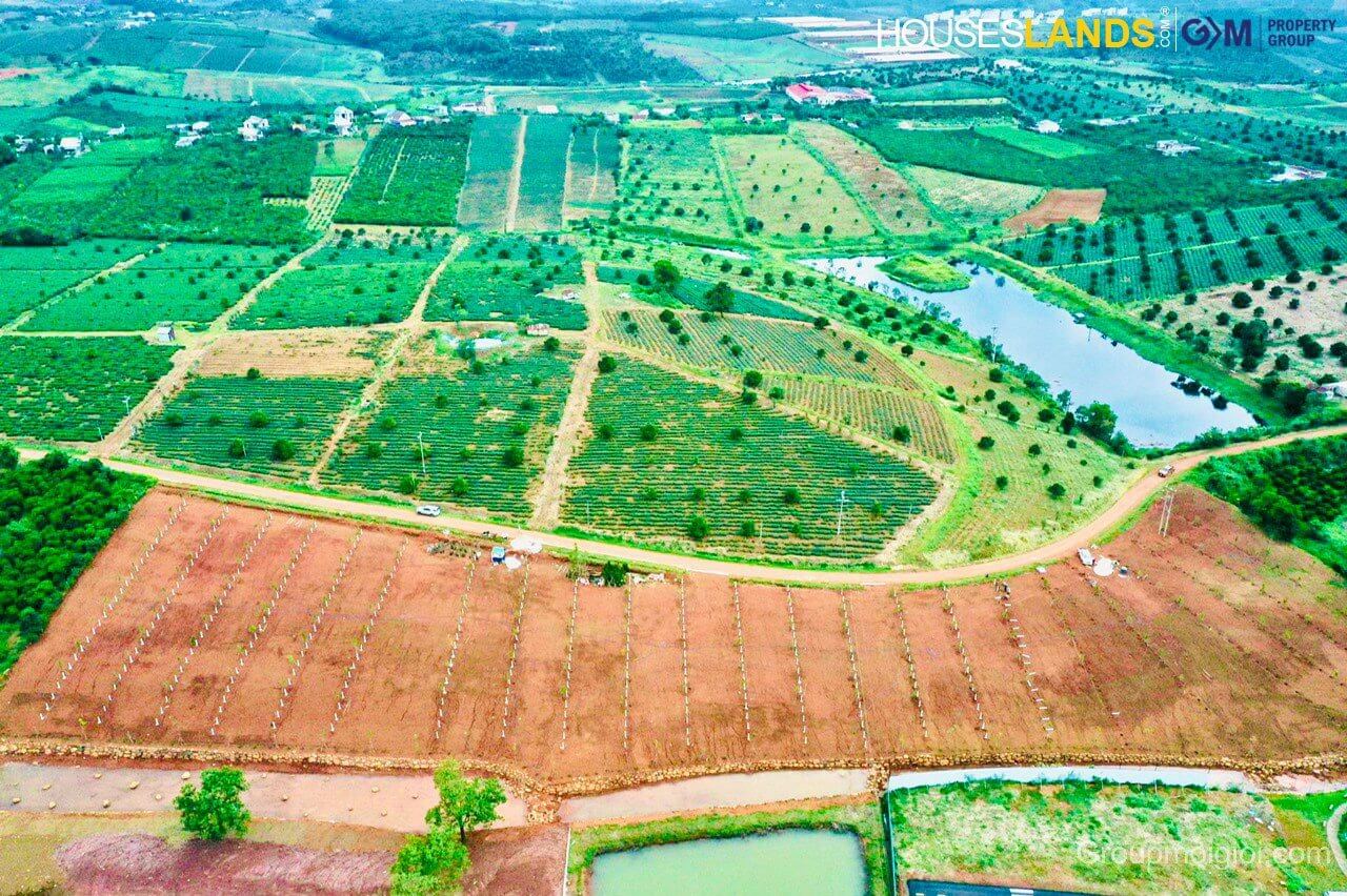 mua đất nông nghiệp Madagui - 1