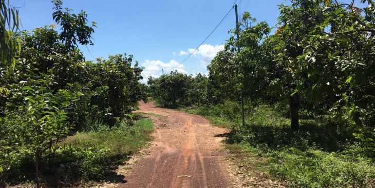 #3 khu vực bán đất rẫy Long Khánh nên đầu tư